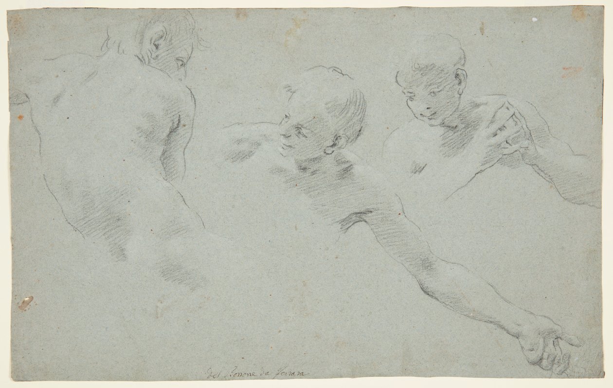 Figure Studies by Carlo Bononi