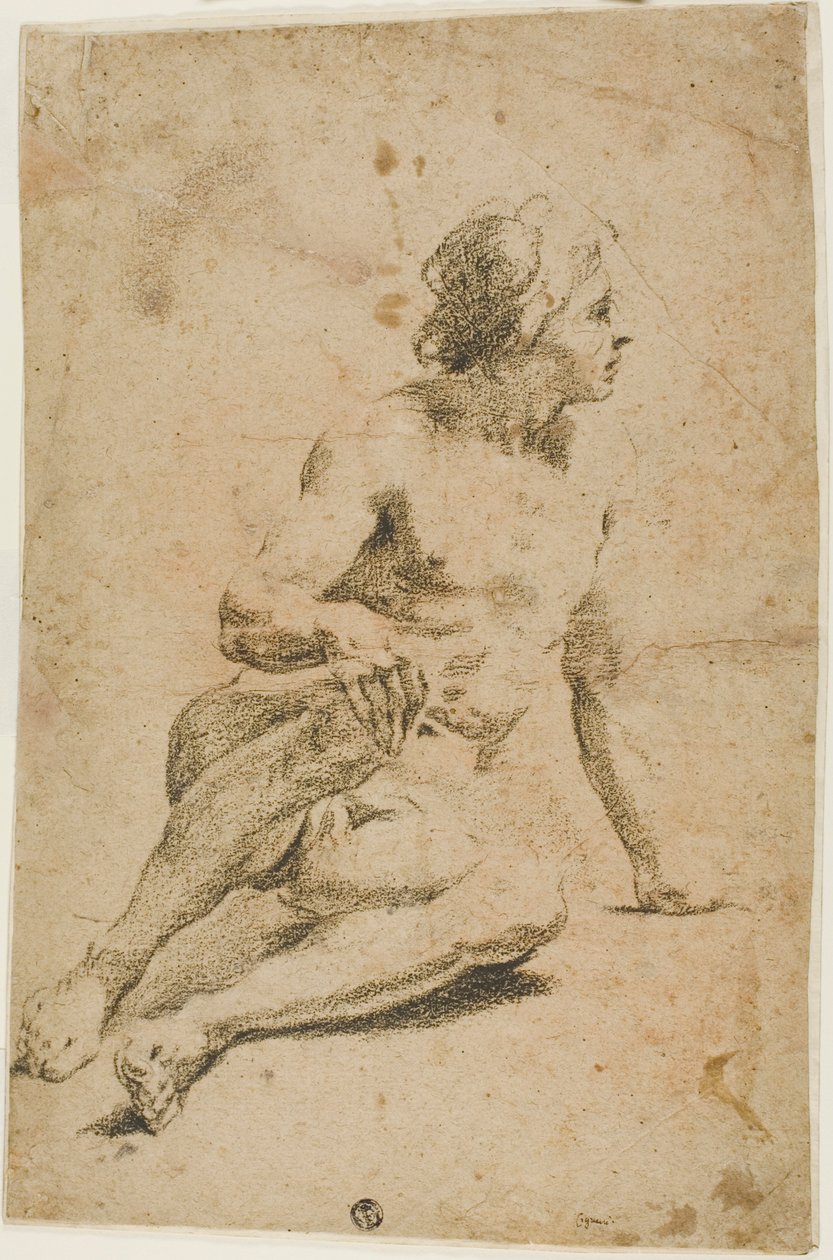 Seated Male Nude by Carlo Cignani