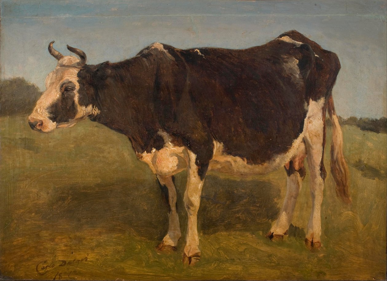 Black and White Cow Standing. Study. by Carlo Dalgas