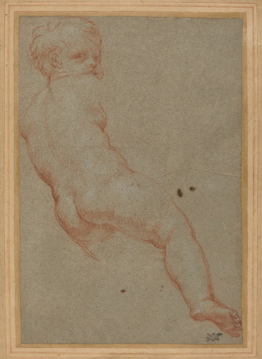 Study of a Young Boy by Carlo Maratta