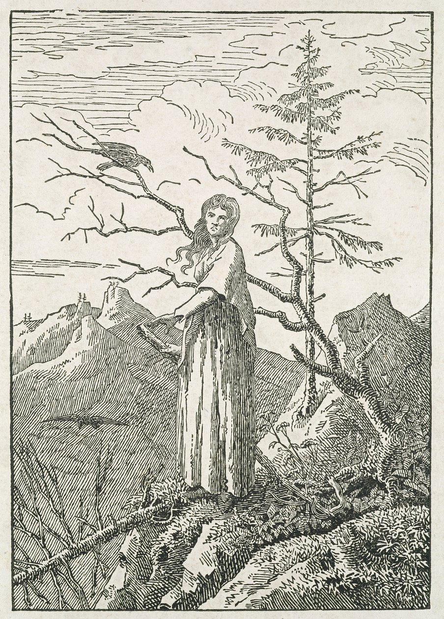 Woman with a Raven, on the Edge of a Precipice by Caspar David Friedrich