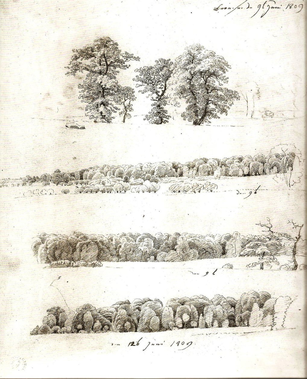 Tree Studies 1809 by Caspar David Friedrich