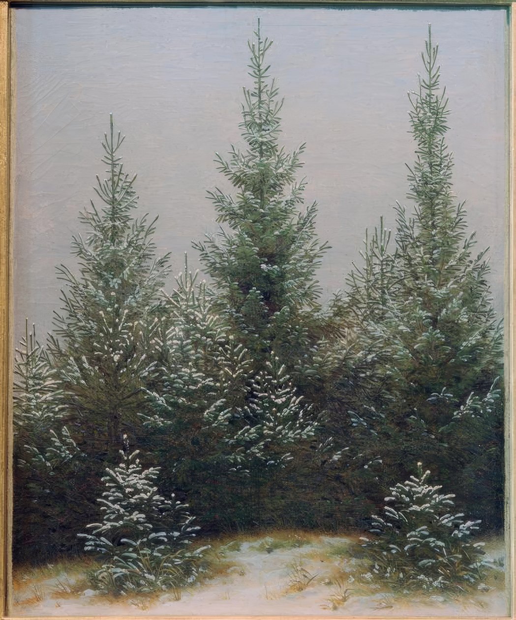 Spruce Thicket in the Snow by Caspar David Friedrich