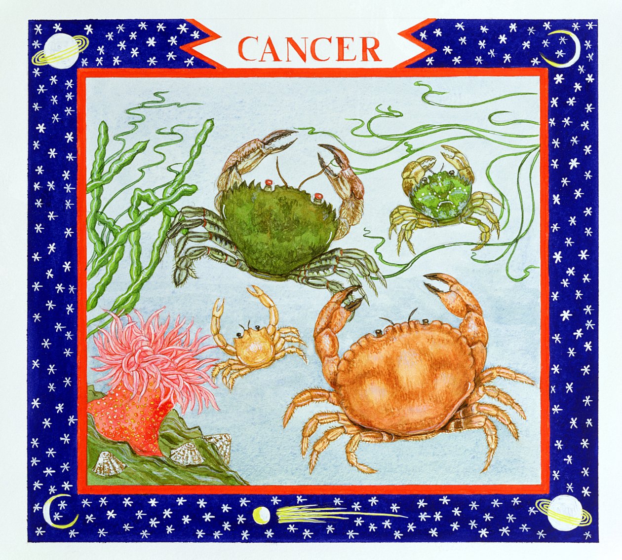 Cancer by Catherine Bradbury