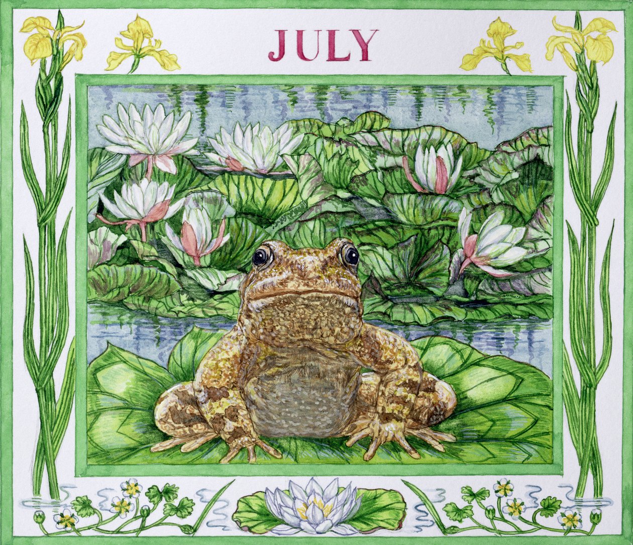 July by Catherine Bradbury