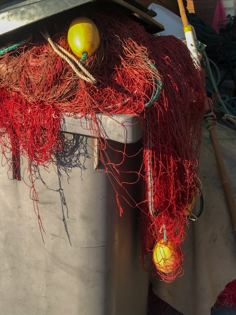 Composition - Nets by Cécile Jamet