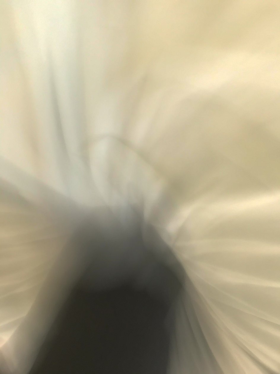 Composition by Cécile Jamet