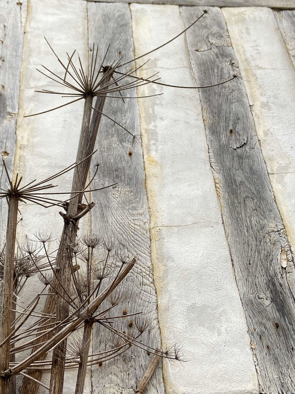 Composition, Architecture by Cécile Jamet