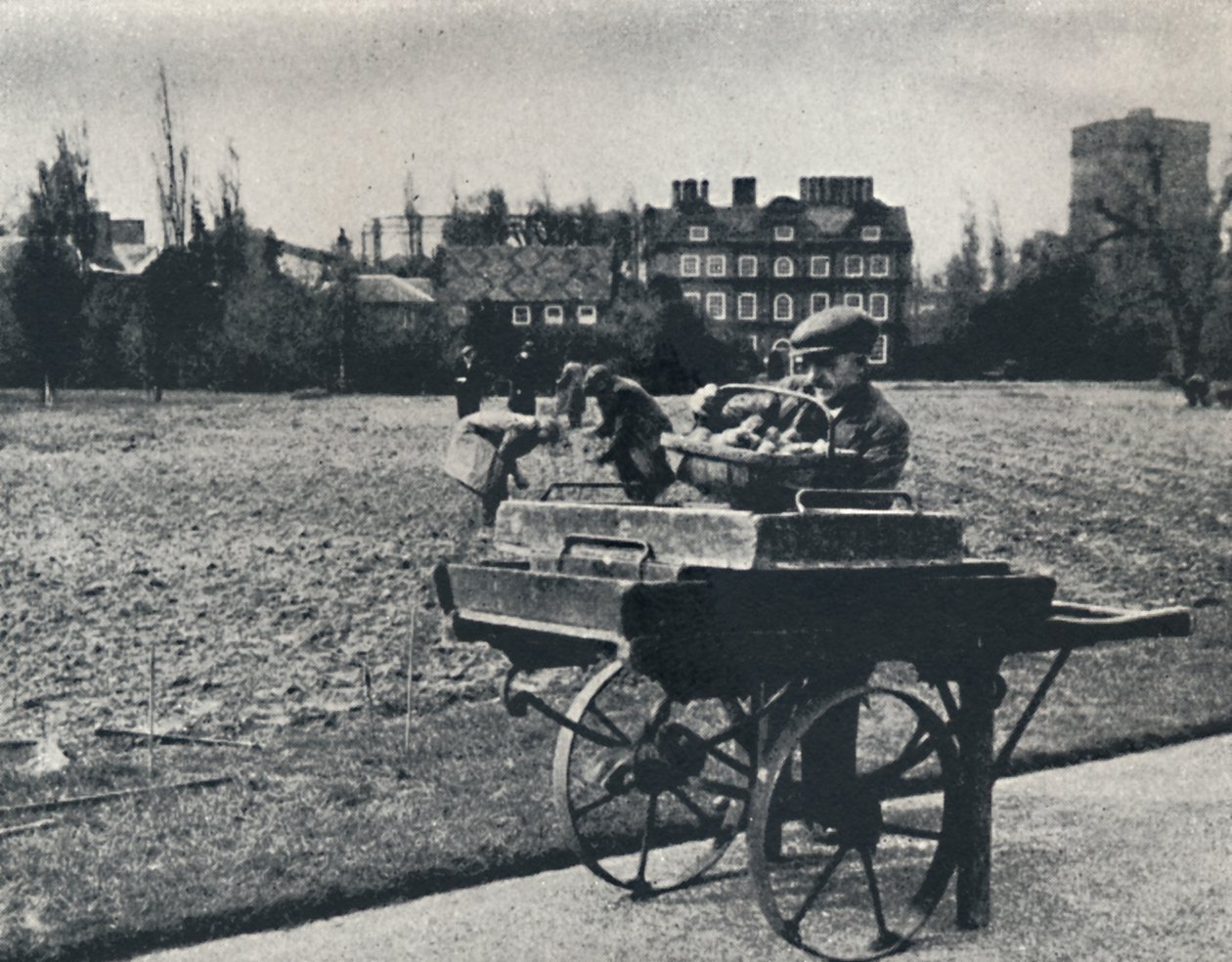 Potatoes in Kew Gardens by Cecil Beaton