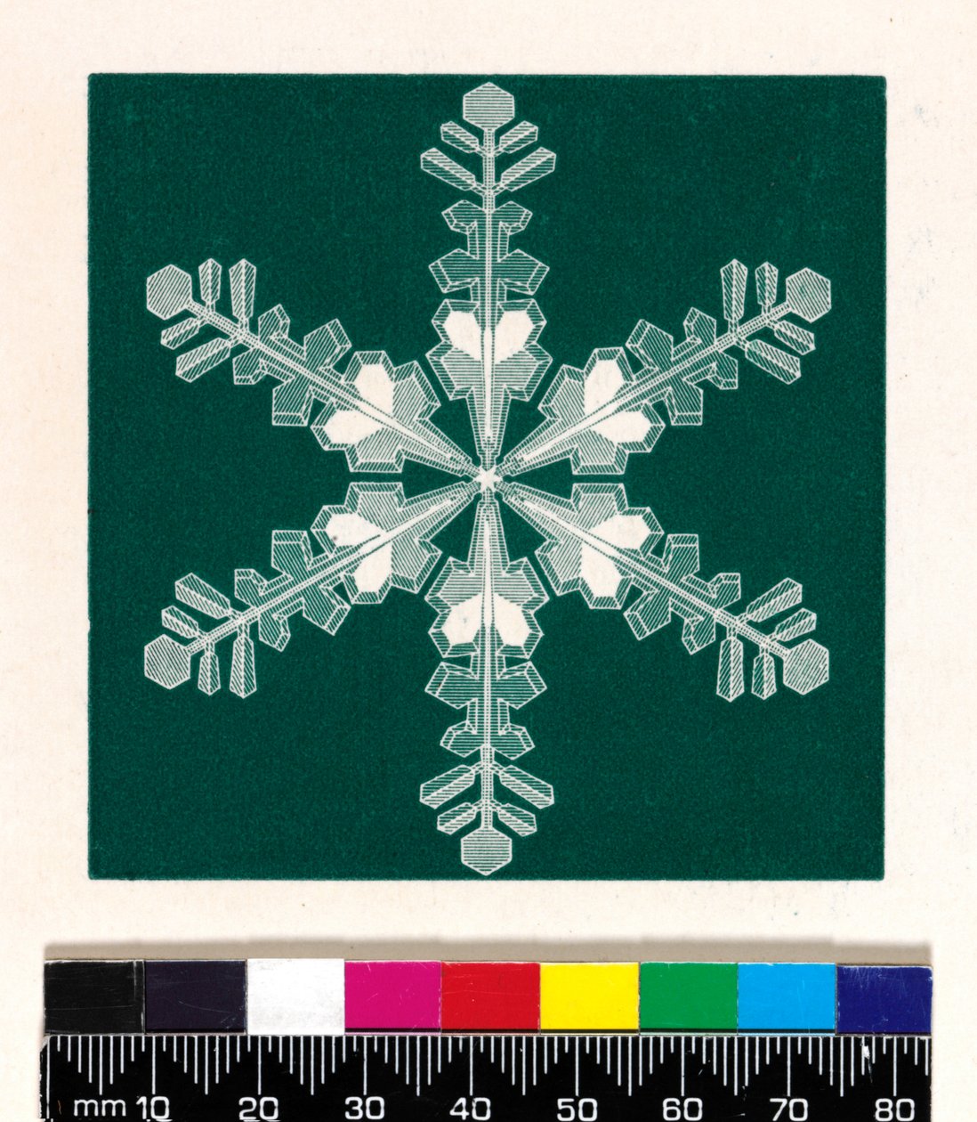 Snow Crystals by Cecilia Glaisher