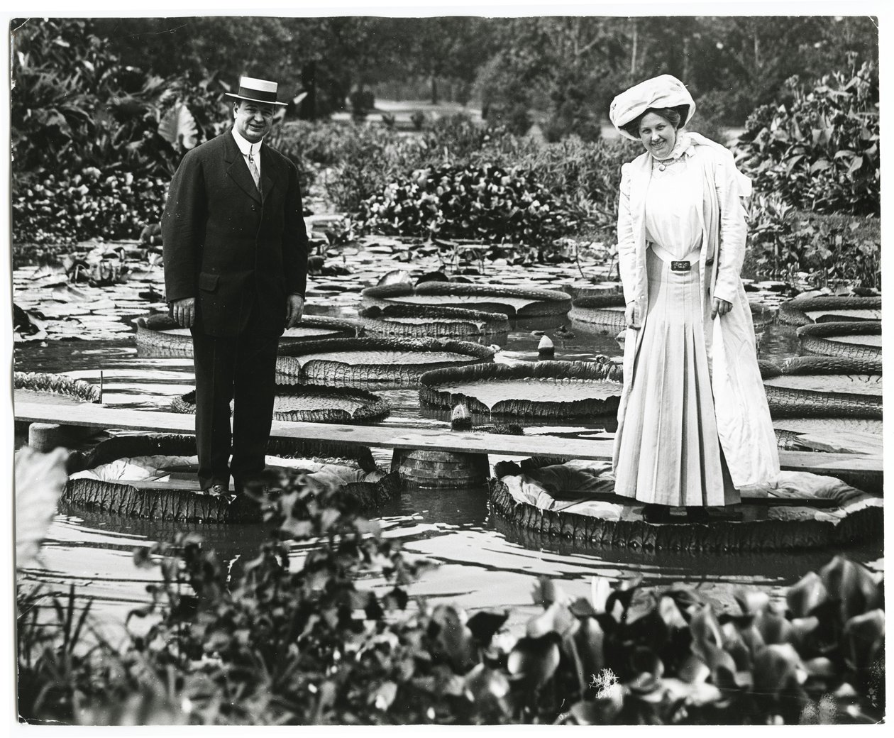Tower Grove Park Lily Pond. Man and Woman Standing on Lily Pads by Charles Clement Holt