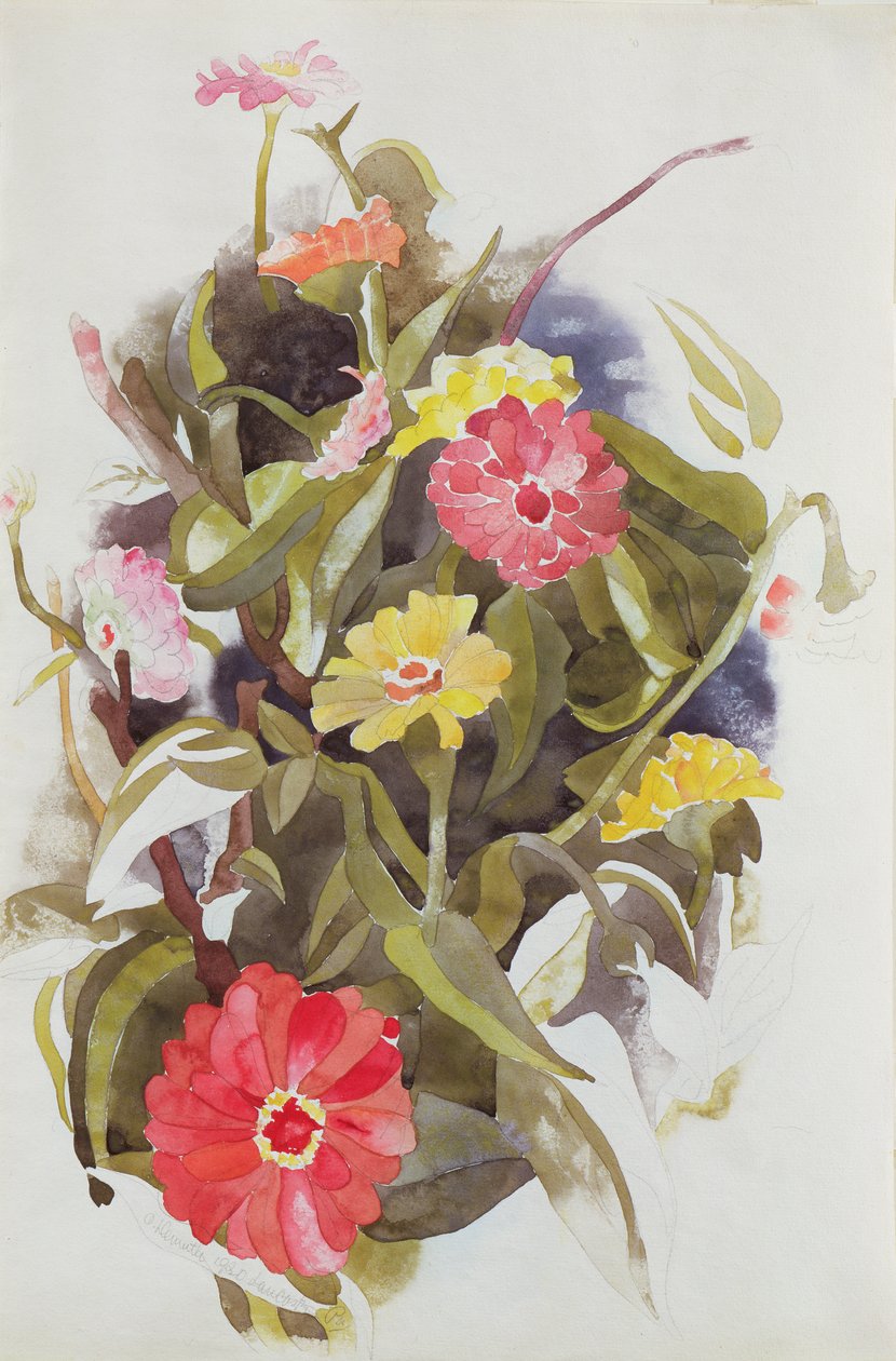 Zinnias by Charles Demuth
