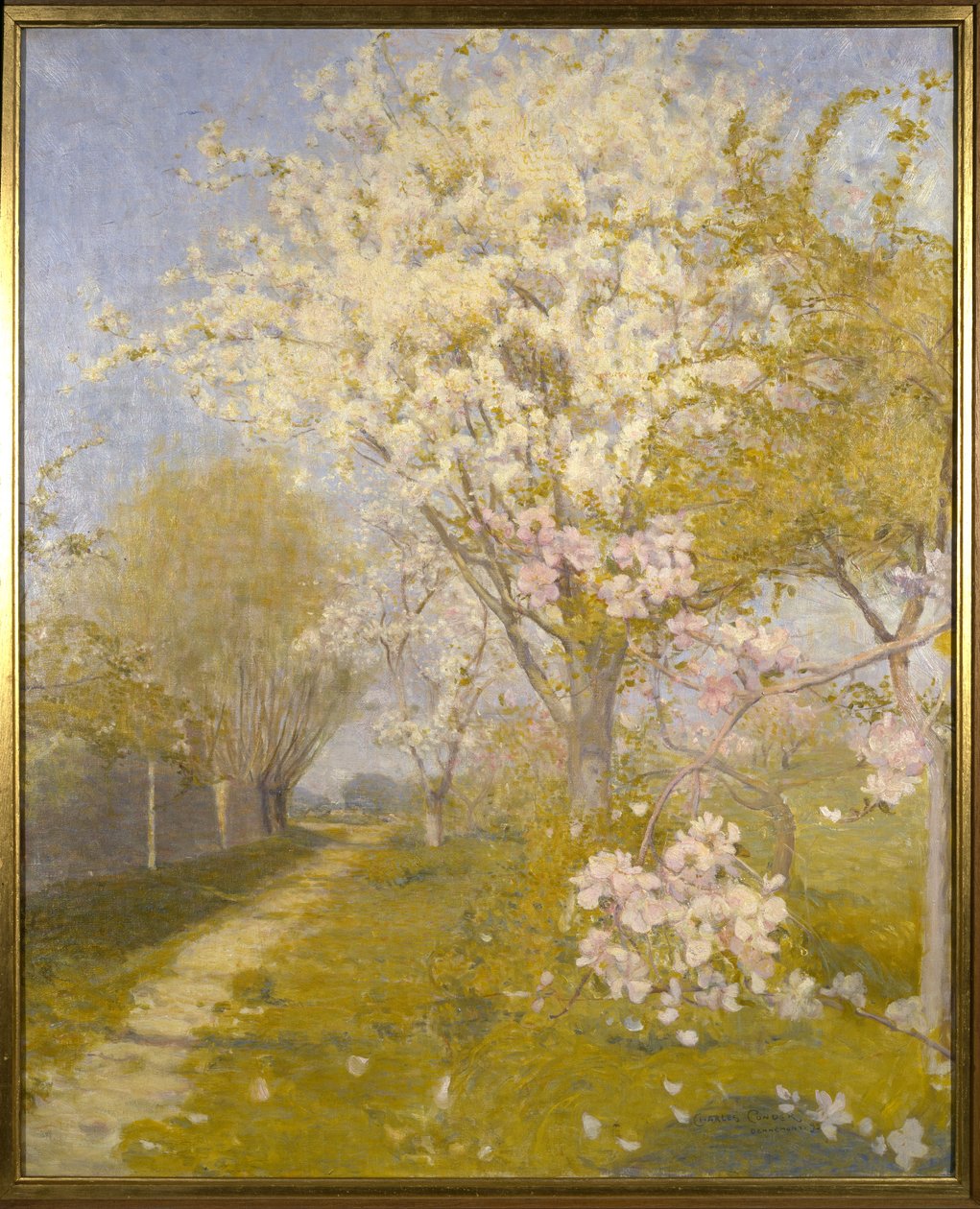 Apple Blossom at Dennemont by Charles Edward Conder