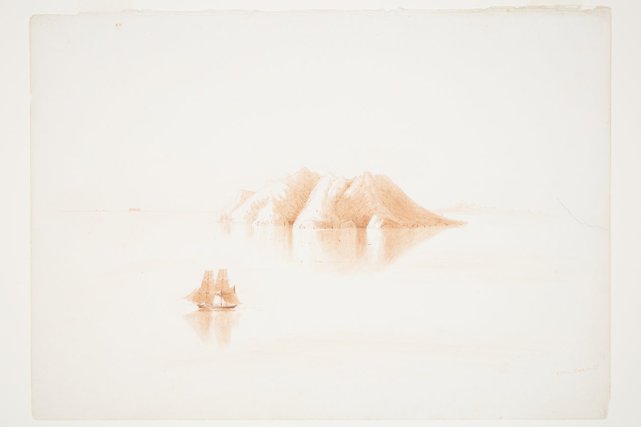 Little Barrier Island by Charles Heaphy