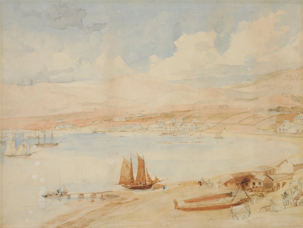 Wellington Harbour, N.Z. by Charles Heaphy
