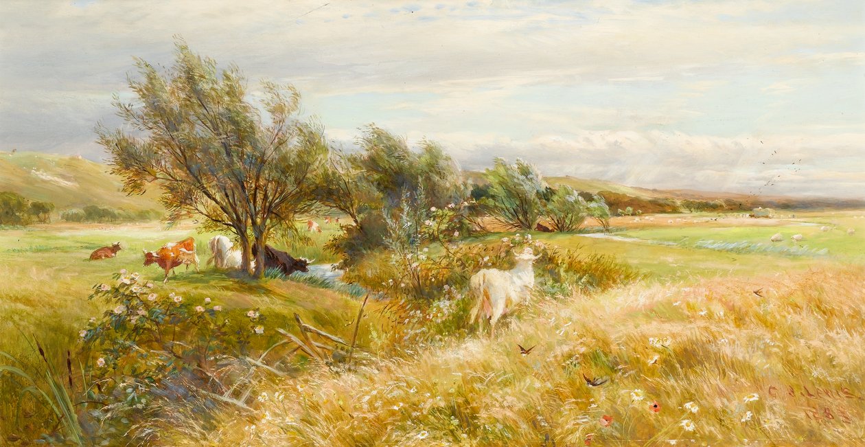 Cattle in a Water Meadow by Charles James Lewis