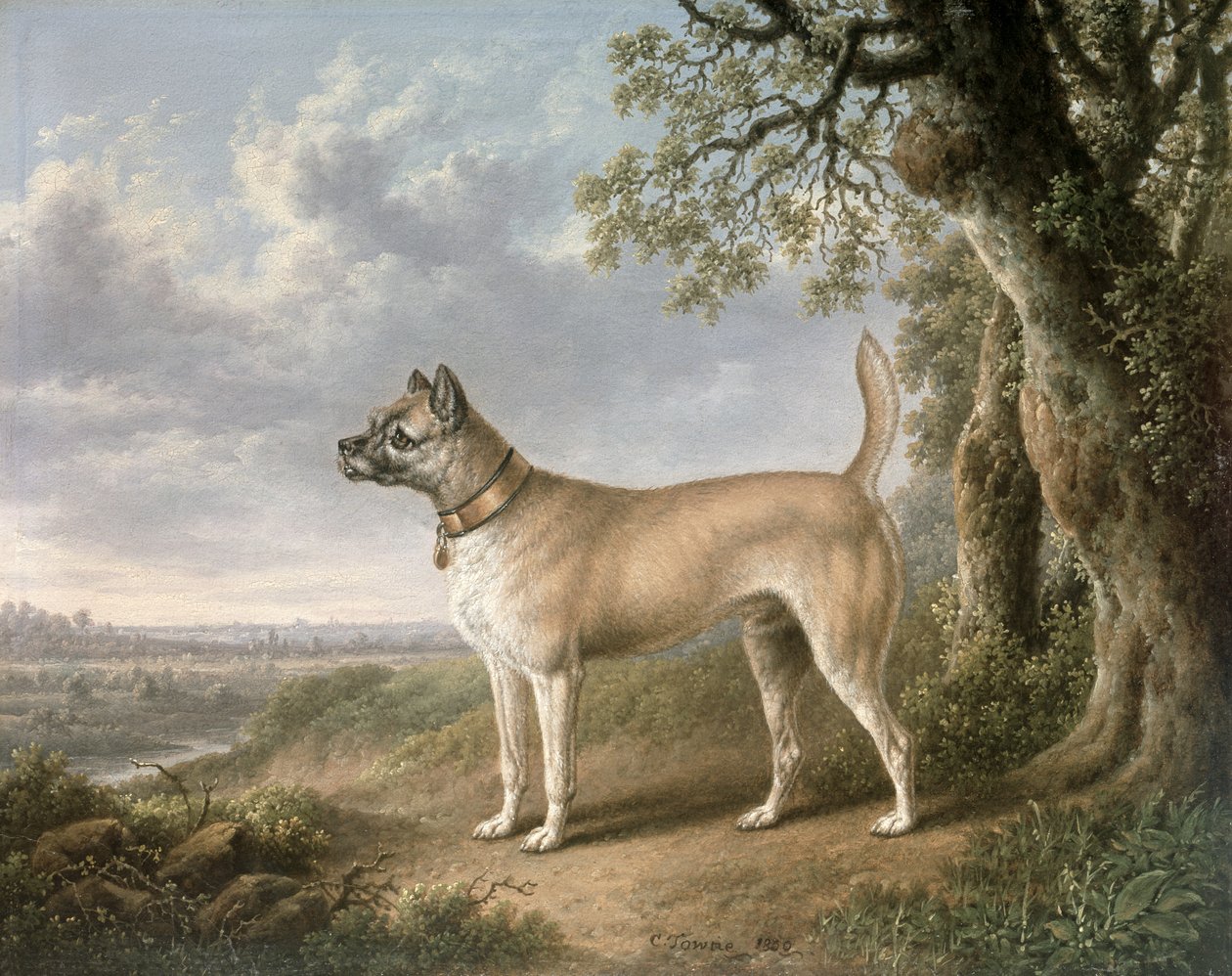 A Terrier on a Path in a Wooded Landscape by Charles Towne