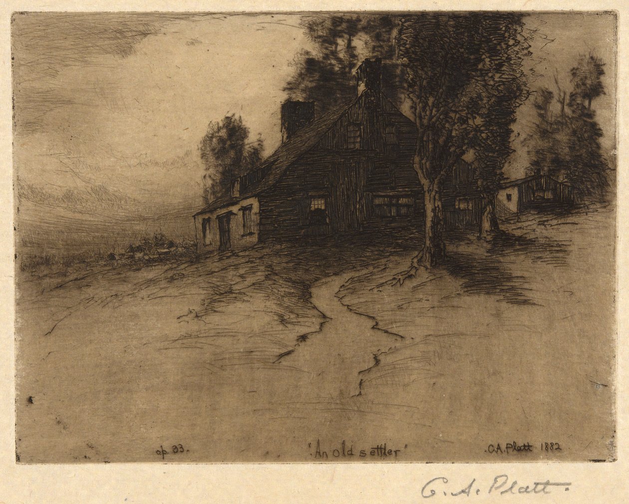 An Old Settler by Charles A. Platt