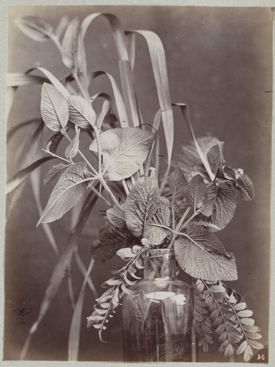 Flower Study with Glass Bottle by Charles Aubry (manner of)