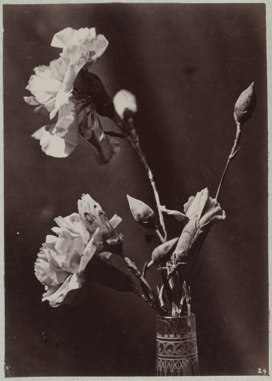 Flower Study with Glass Vase by Charles Aubry (manner of)
