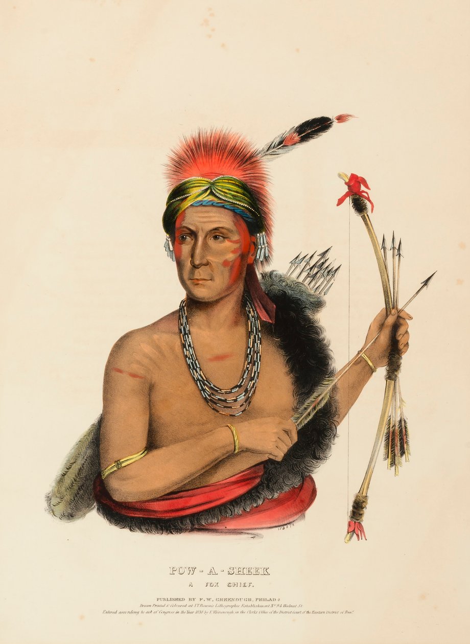 POW-A-SHEEK. A FOX CHIEF by Charles Bird King