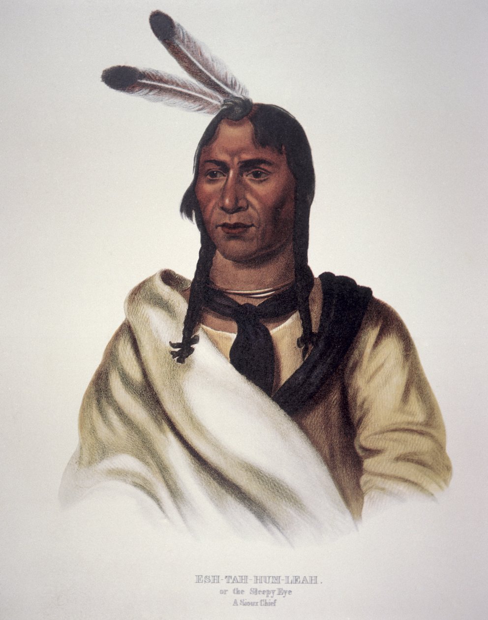 The Sleepy Eye by Charles Bird King