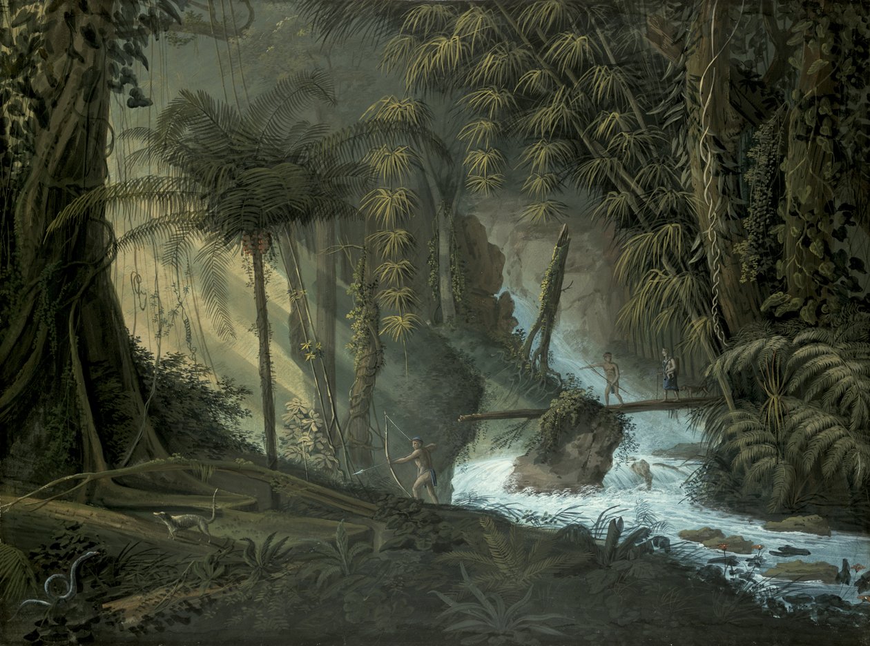 Brazilian Forest by Charles Comte de Clarac