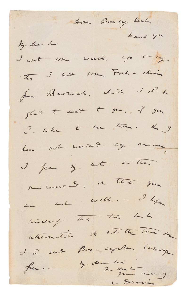 Autograph letter signed by Charles Darwin