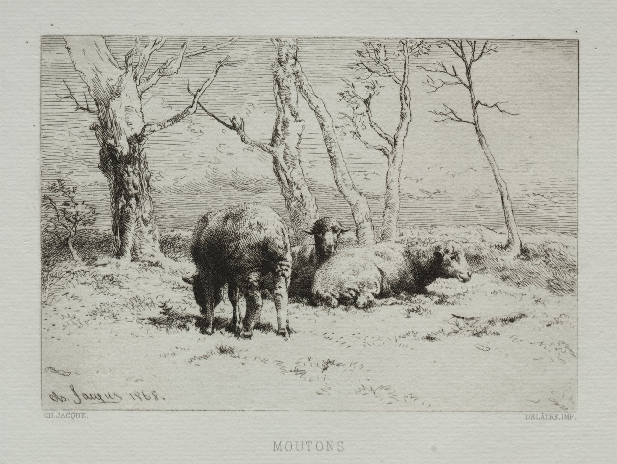 Sheep by Charles Emile Jacque