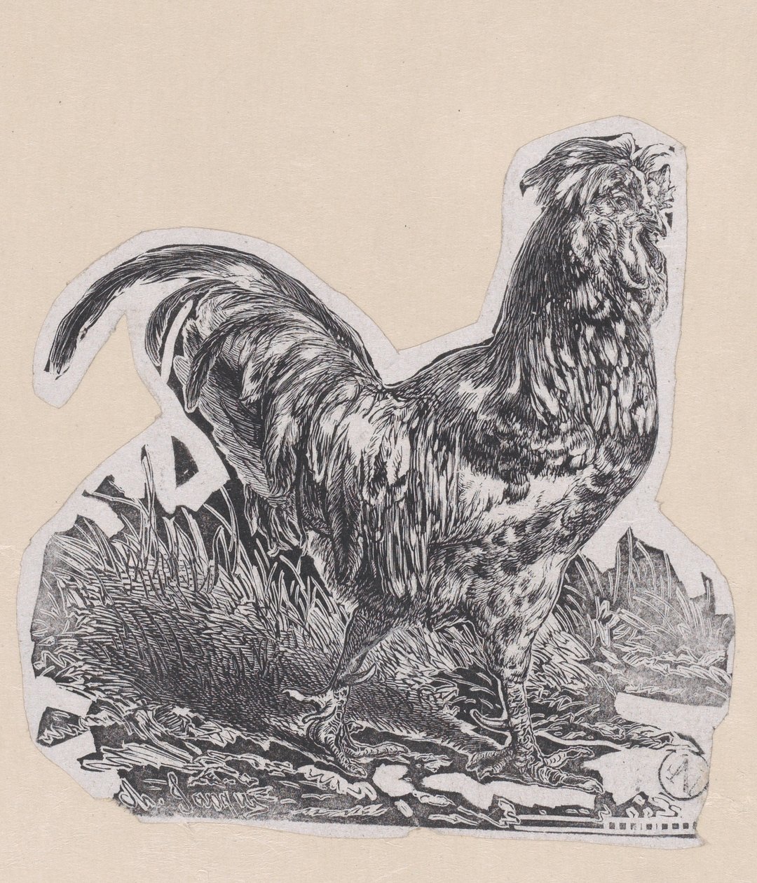 The Rooster by Charles Emile Jacque