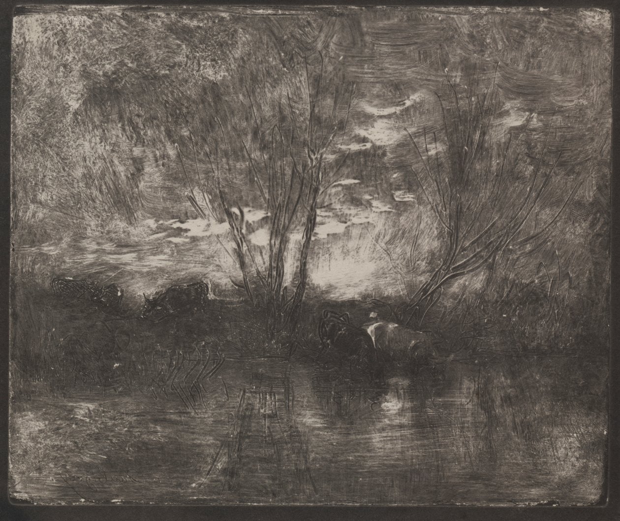 Cows at a Watering Place by Charles Francois Daubigny
