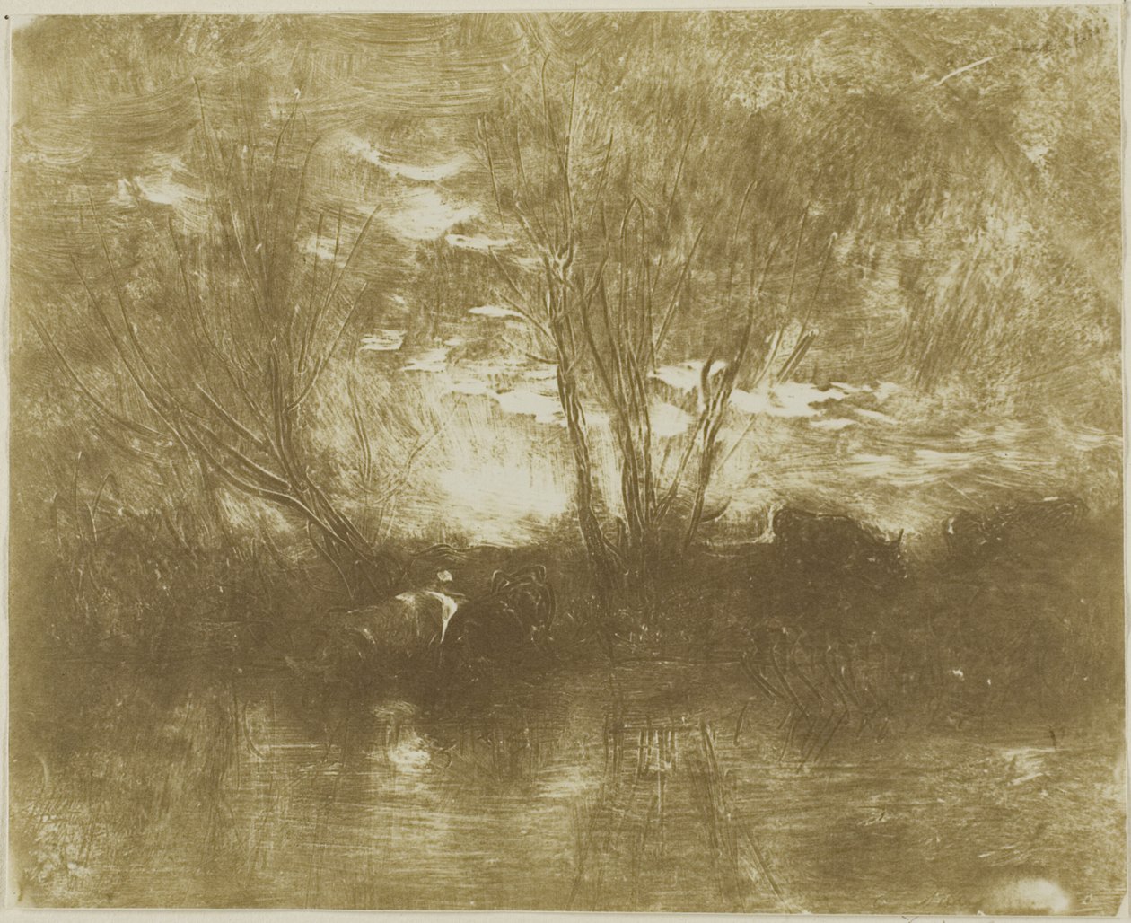 Cows at the Watering Place by Charles Francois Daubigny