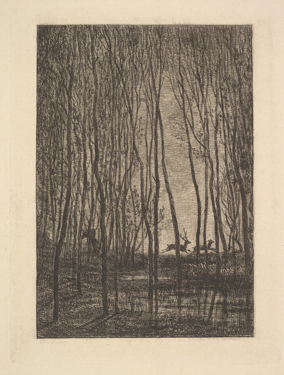 Deer in the Woods by Charles Francois Daubigny