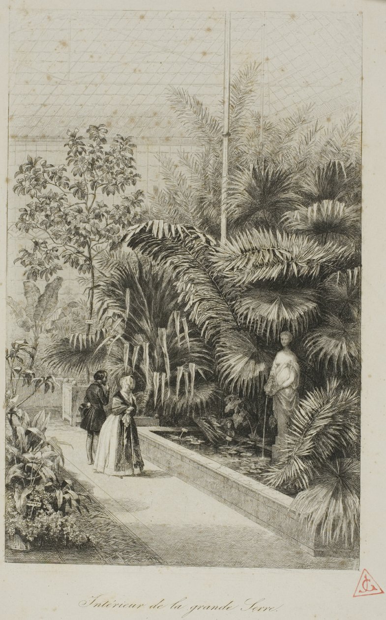 Interior of the Large Greenhouse by Charles Francois Daubigny