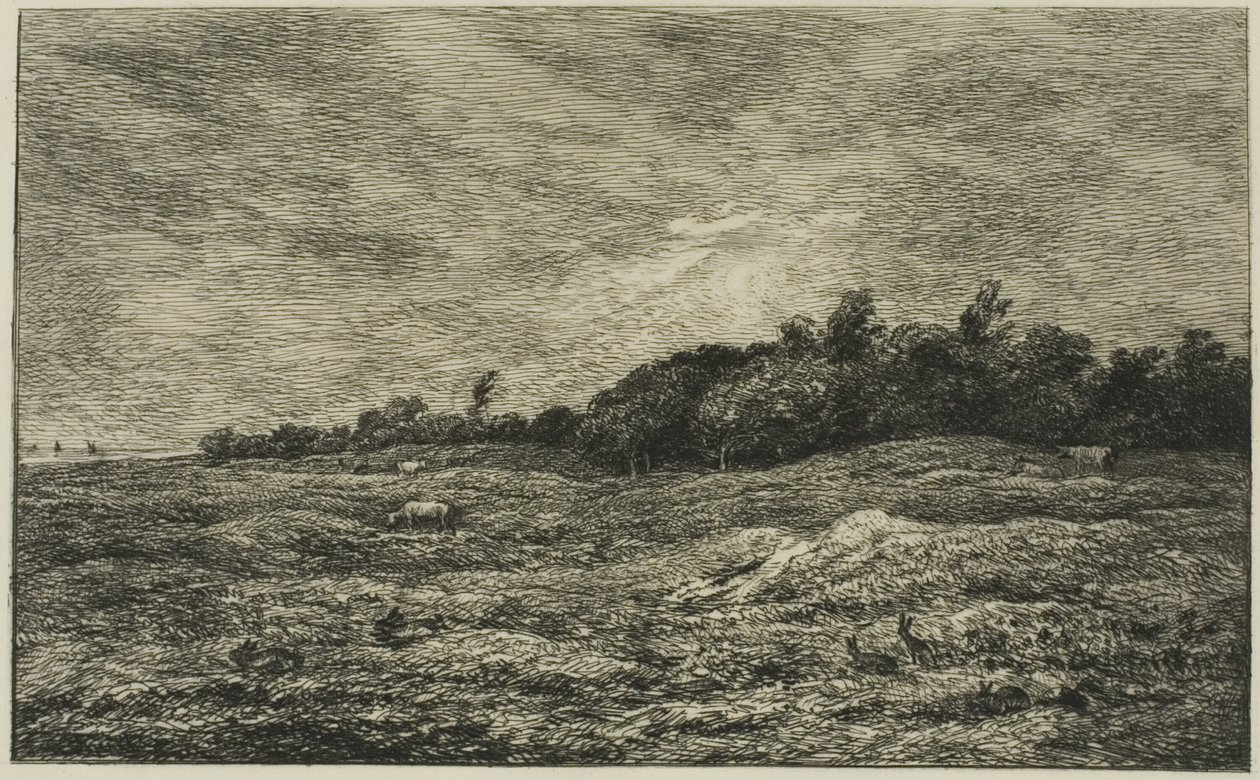 The Meadow of Graves at Villerville (Calvados) by Charles Francois Daubigny