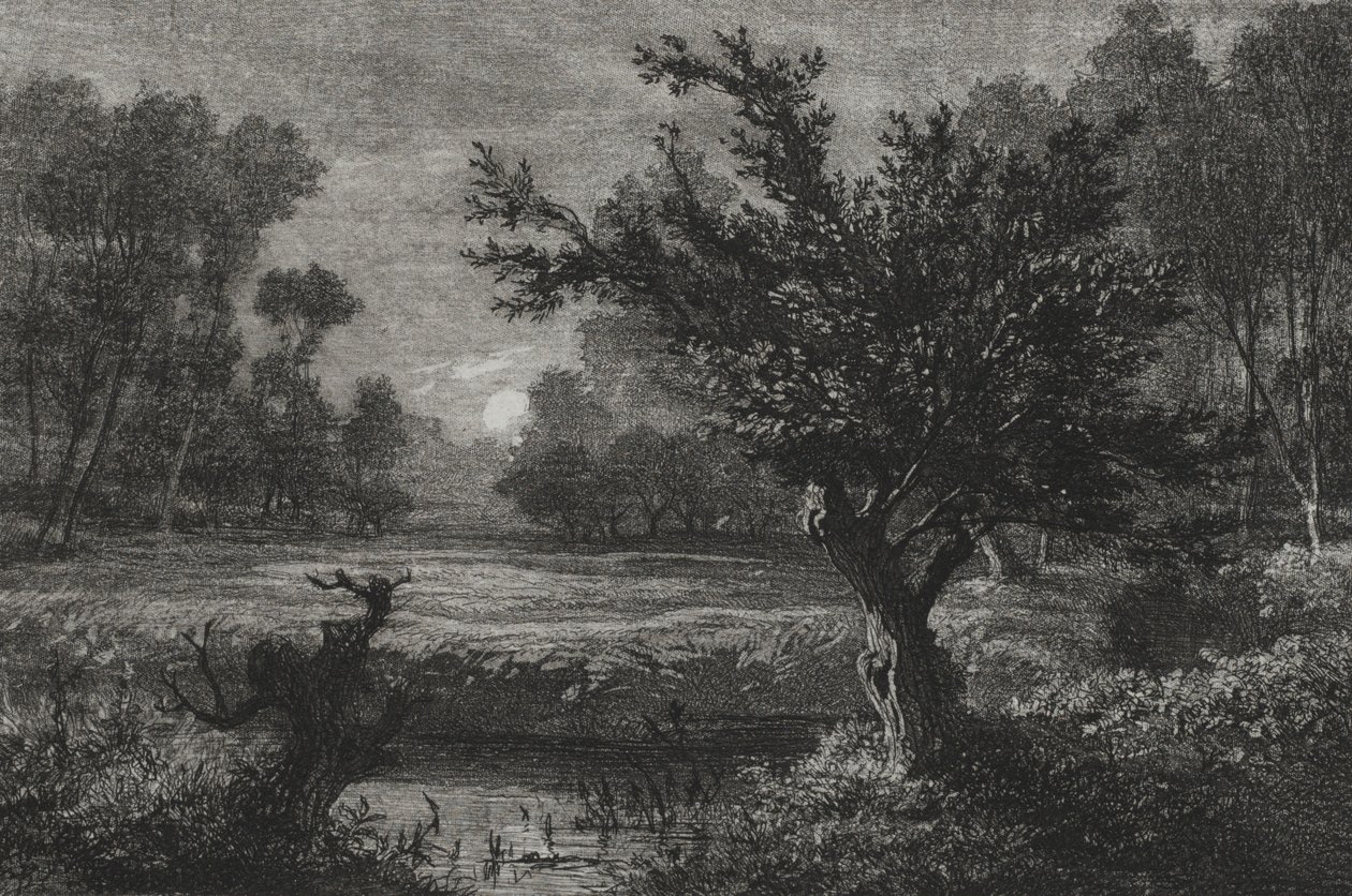 Moonrise in the Andilly Valley, 1845 by Charles Francois Daubigny