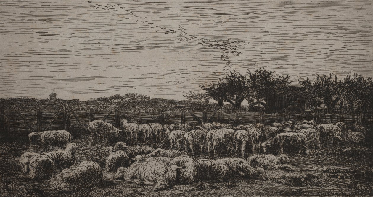 The Large Sheep-Fold by Charles Francois Daubigny