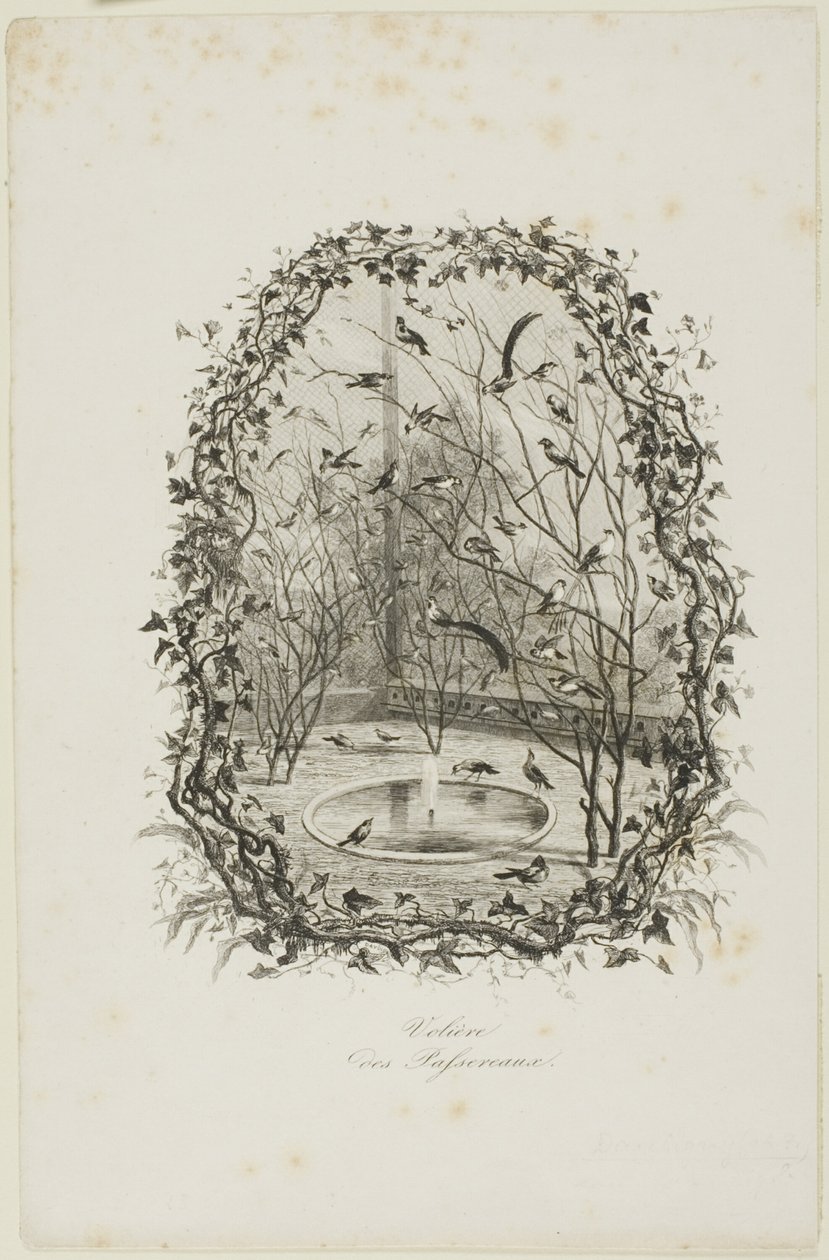 The Sparrow Aviary by Charles Francois Daubigny