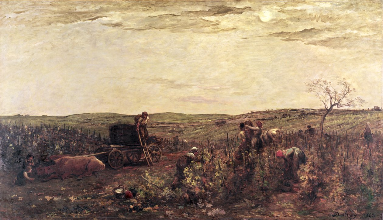 The Wine Harvest in Burgundy by Charles Francois Daubigny