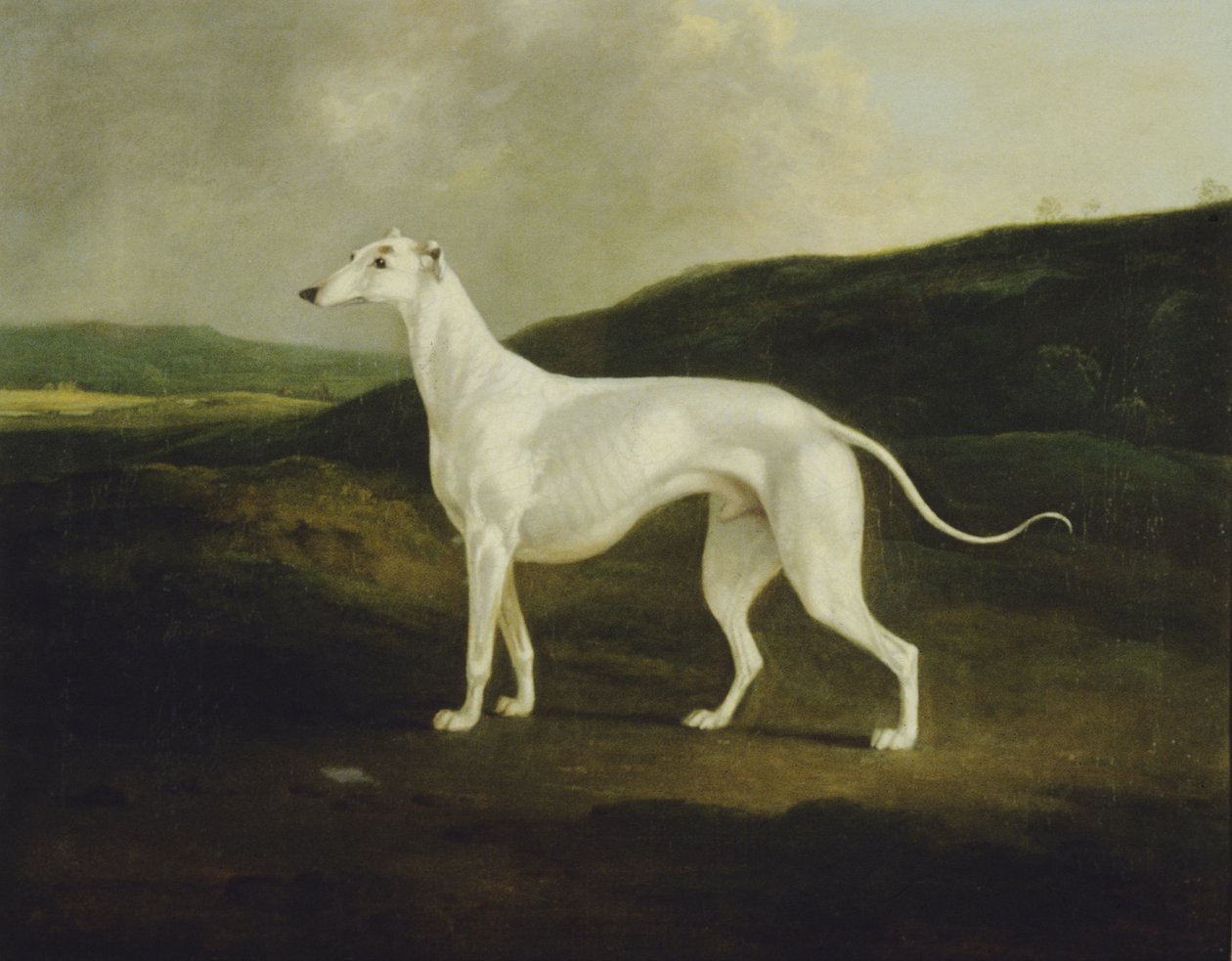 A Greyhound in a Landscape by Charles Henry Schwanfelder