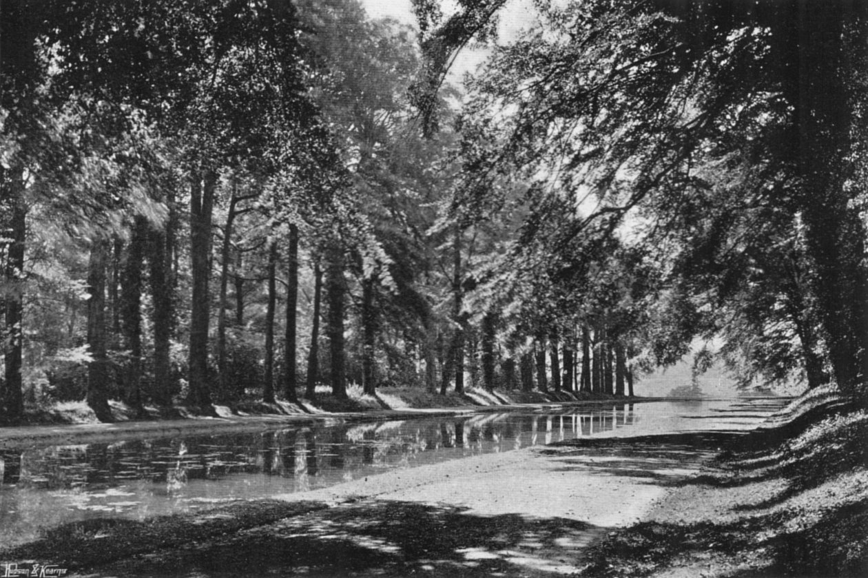 The T Pond by Charles Latham