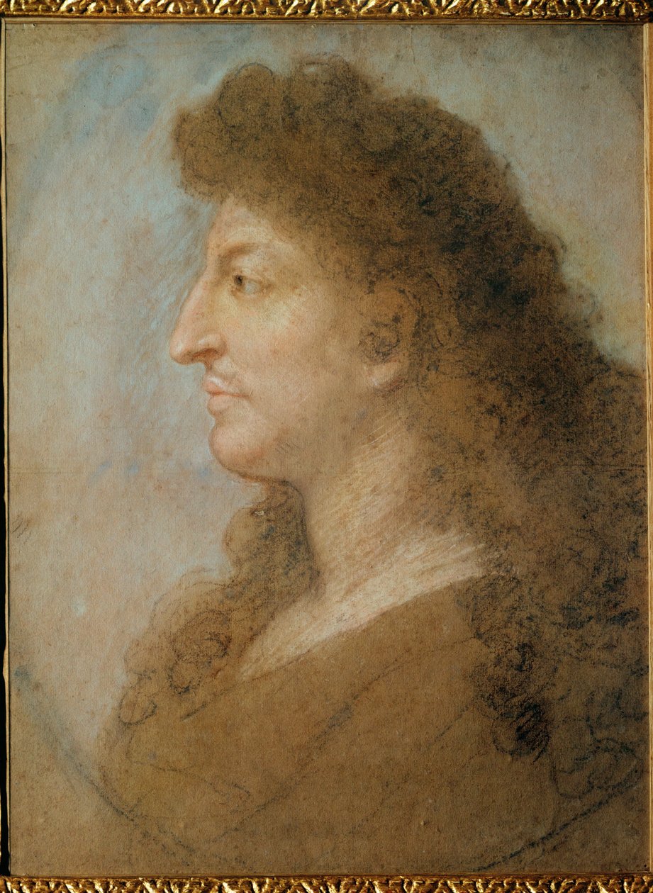 Portrait of Louis XIV by Charles Le Brun