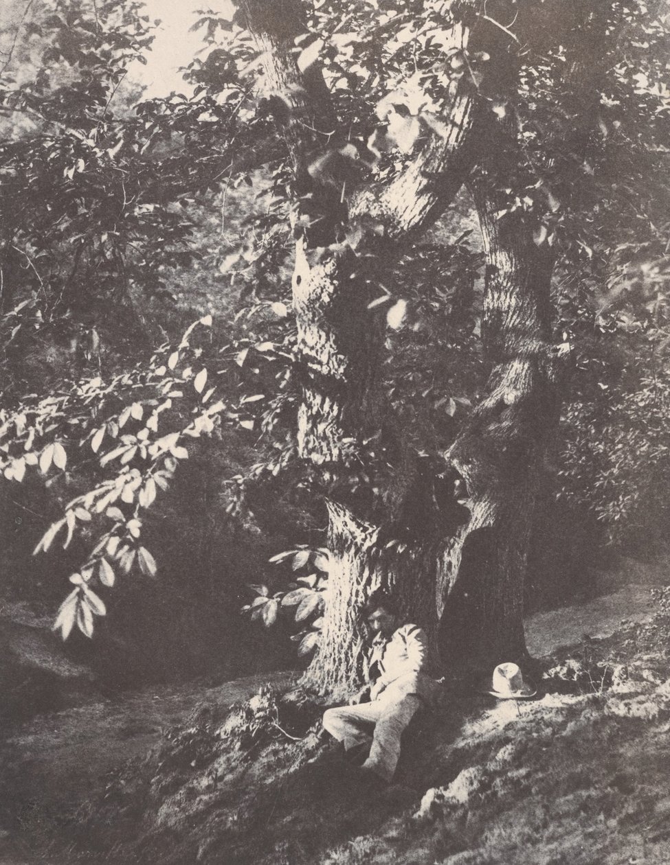 Man Lying at the Foot of a Chestnut Tree, 1850-53 by Charles Marville