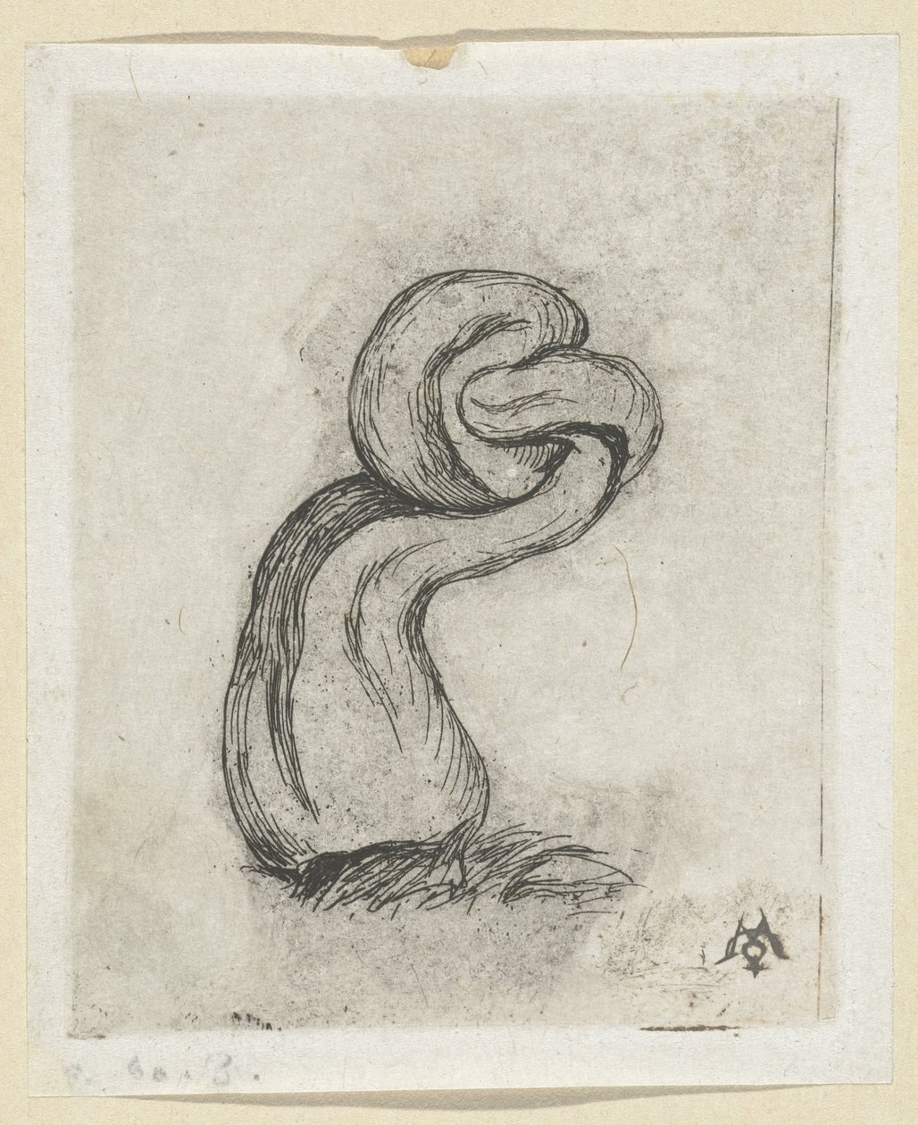Deformed Mushroom (Cryptogamae) by Charles Meryon
