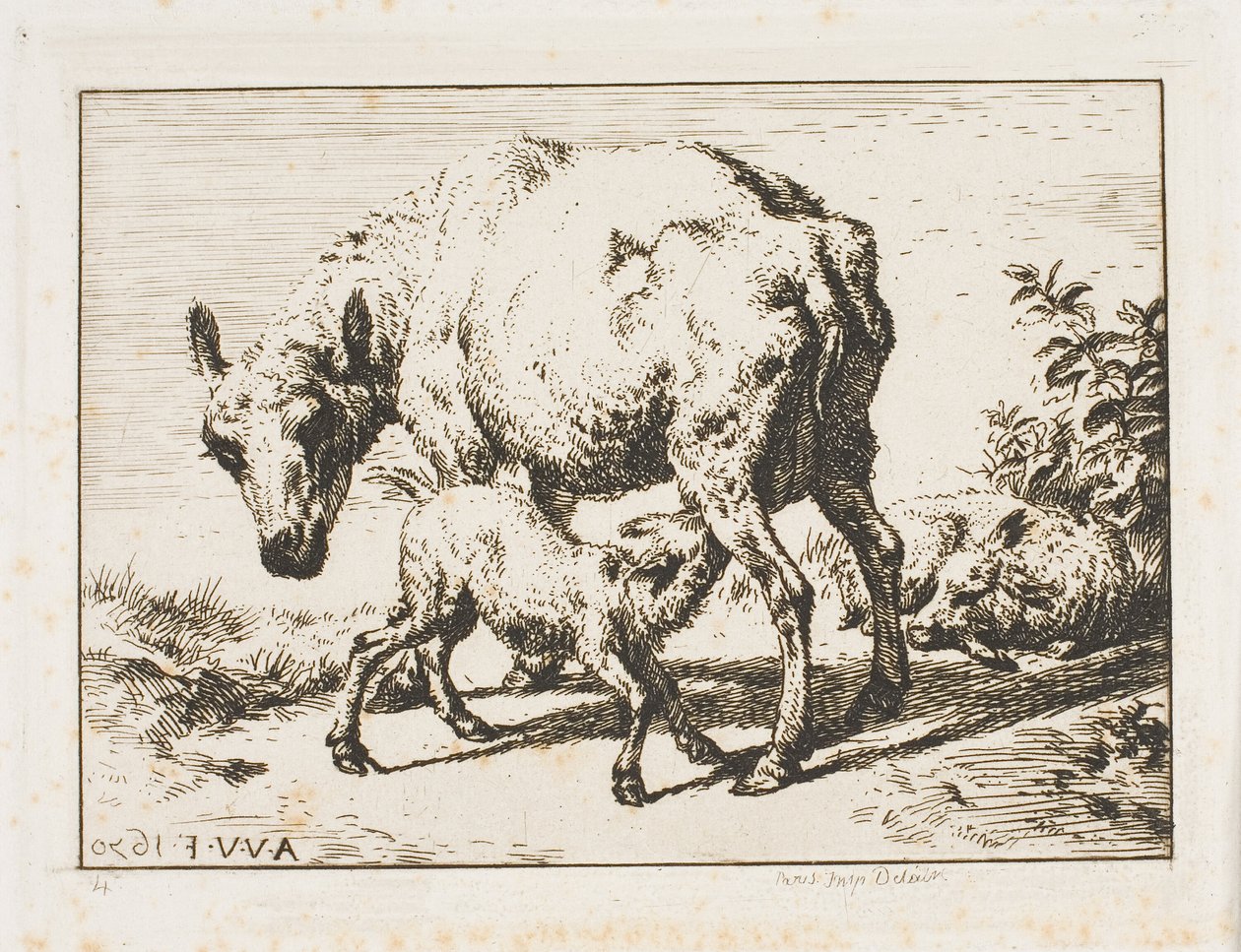 The Ewe with Two Lambs by Charles Meryon