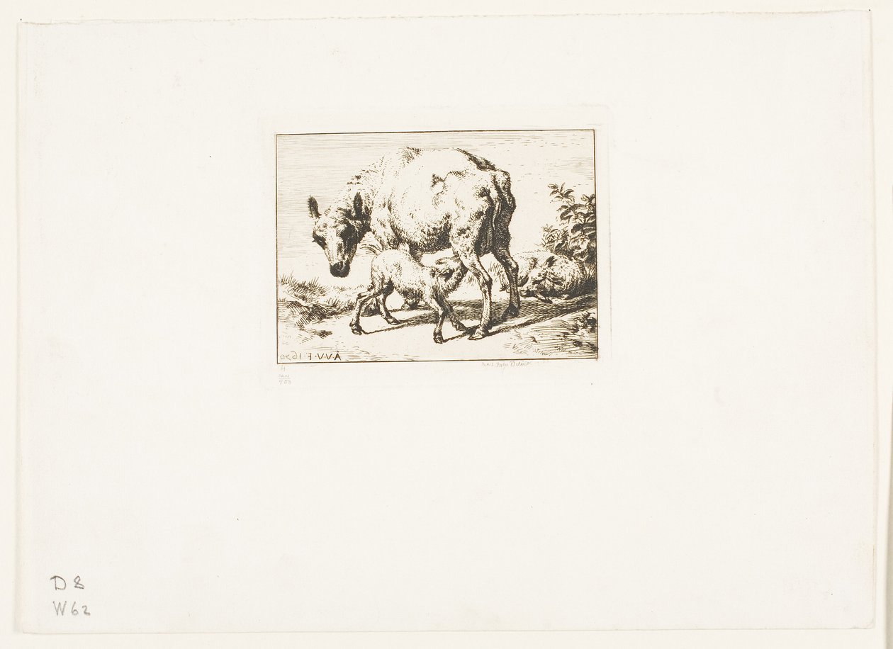 The Ewe with Two Lambs by Charles Meryon