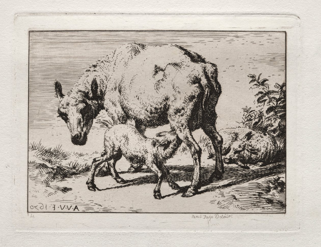 The Ewe with Two Lambs by Charles Meryon