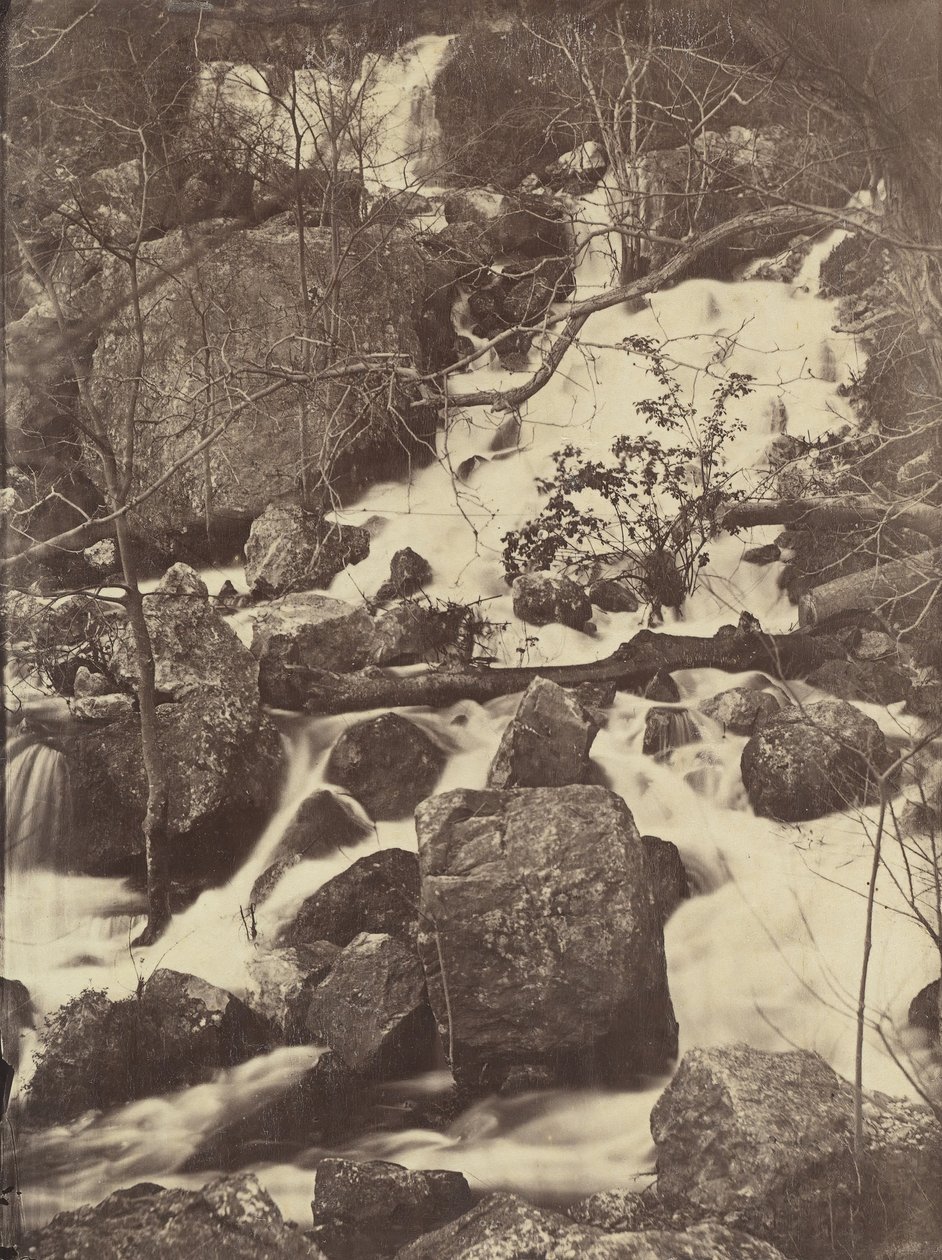 Trees and Waterfalls by Charles Nègre