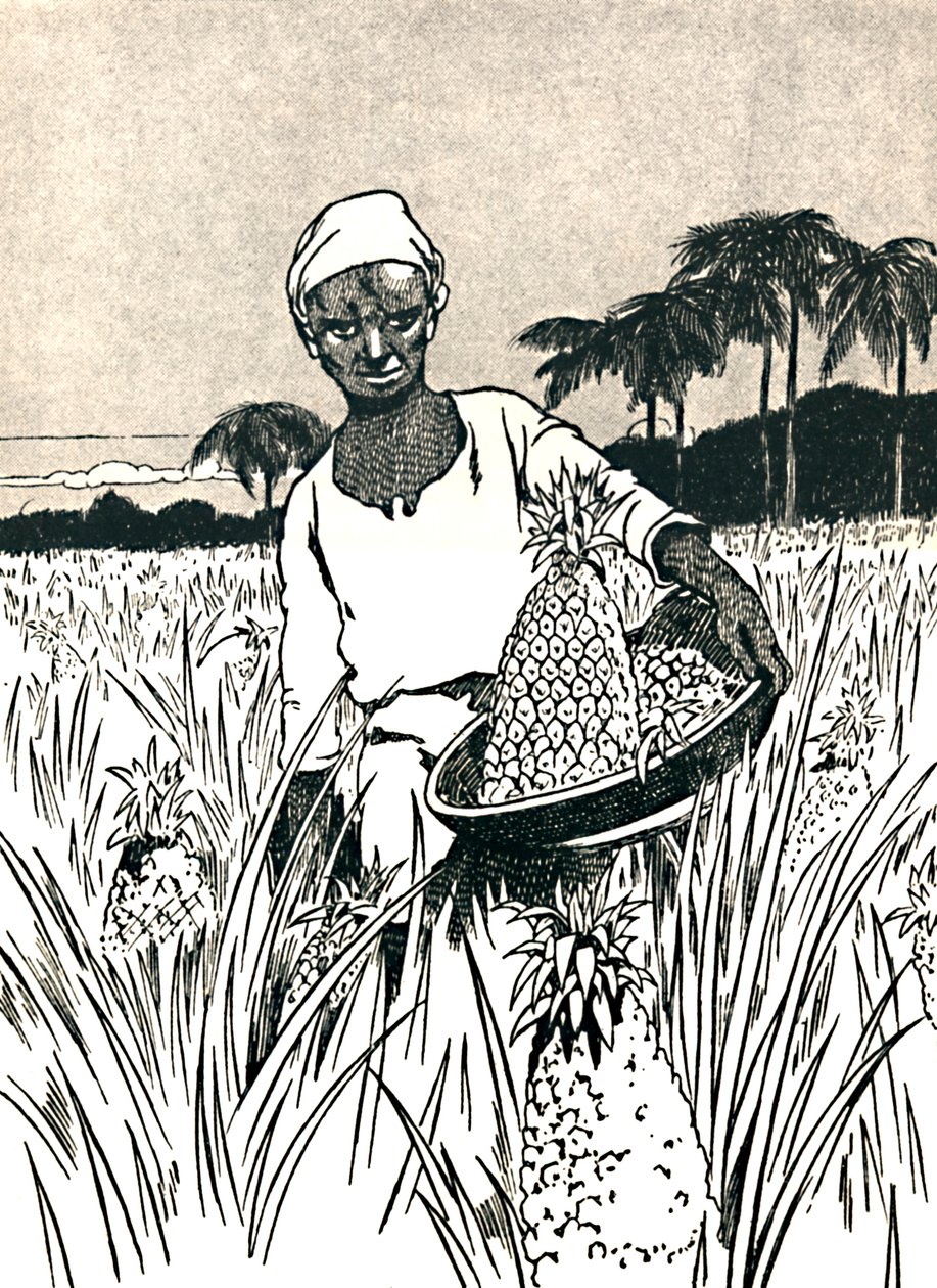 Gathering Pineapples by Charles Robinson
