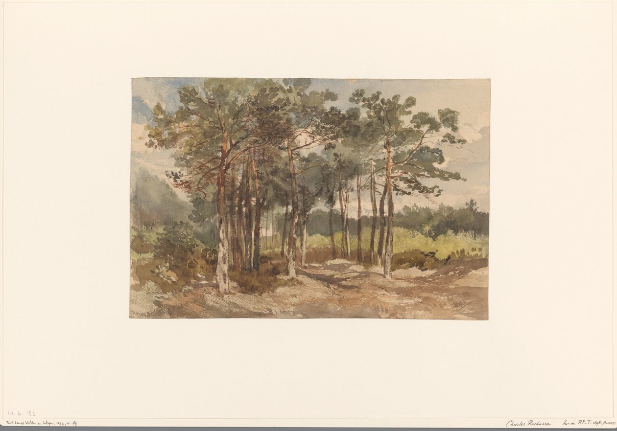 Group of Trees in the Forests near Driebergen by Charles Rochussen
